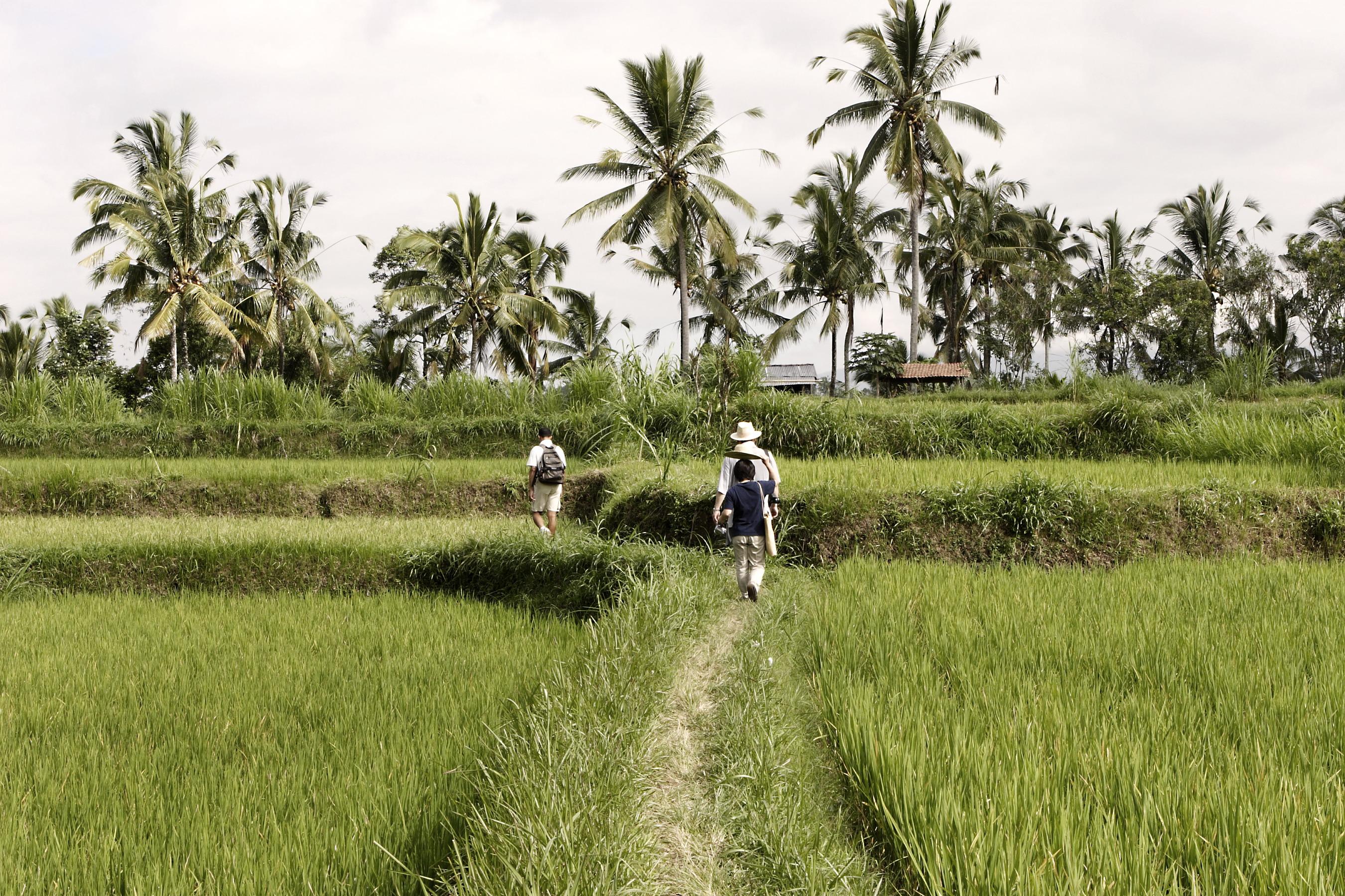 Hanging Gardens Of Bali Убуд Екстер'єр фото